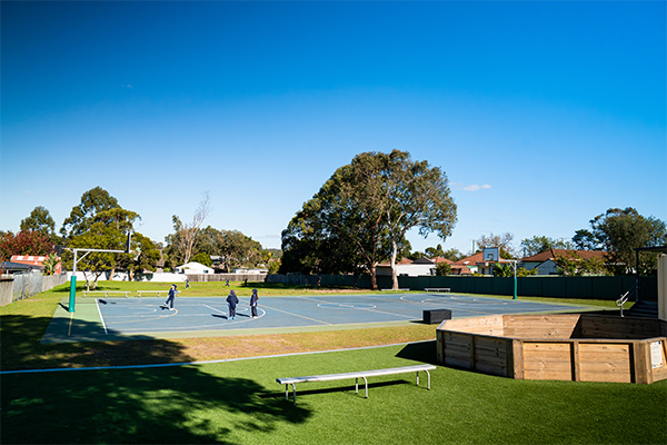 Facilities – Paddock